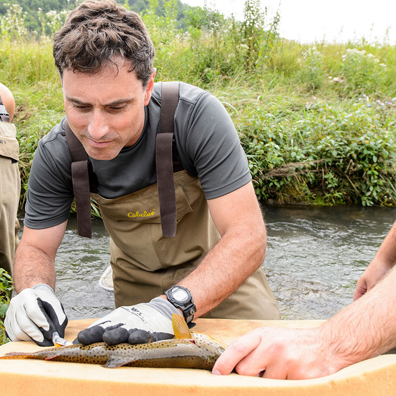 UW researcher testing fish