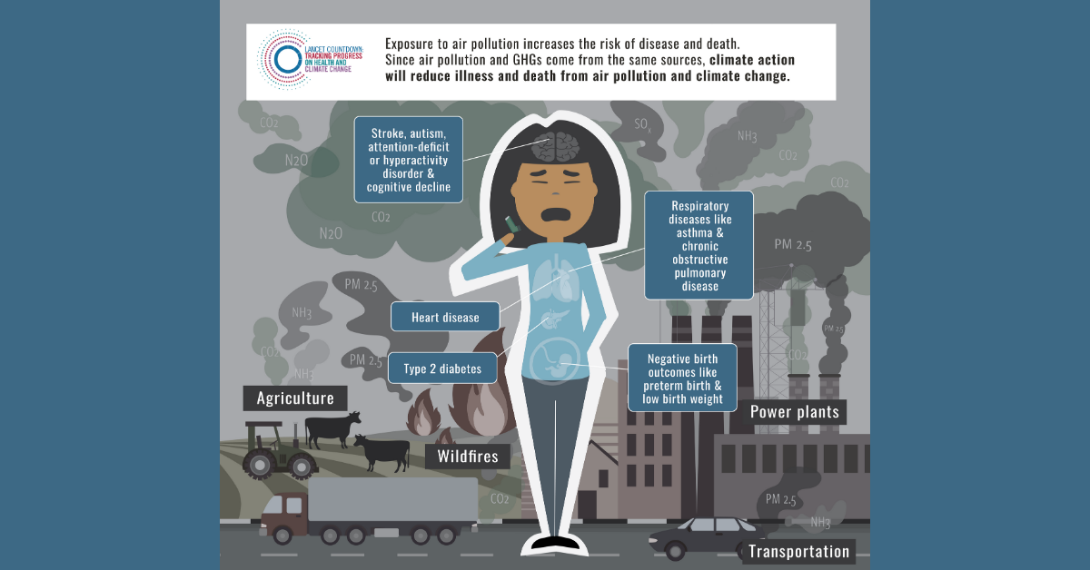 Graphic on the effects of air pollution