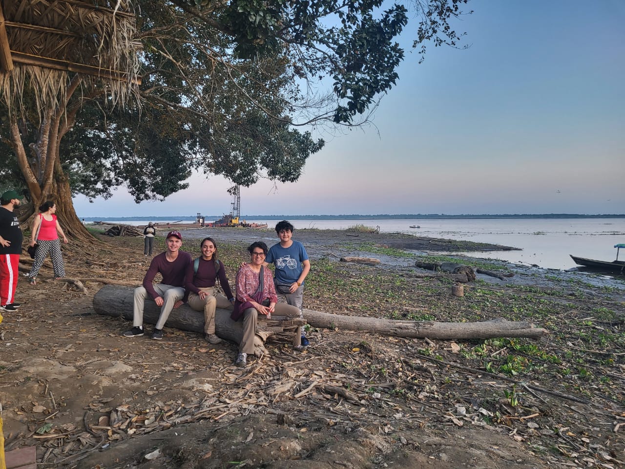 four people sitting on large driftwood in a beach setting