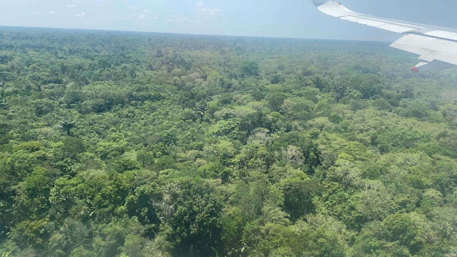 Aerial shot of Amazon jungle from plane, Sept 2023