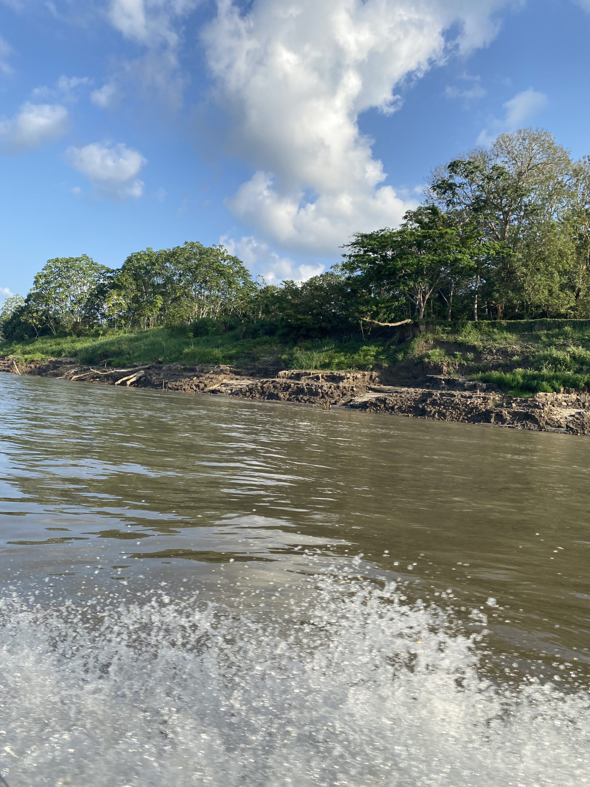 Water and shore views from the Amazon River, 2023