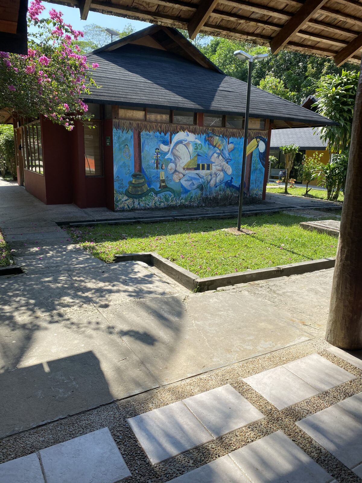 Colorful murals on UNAL Leticia campus, Sept 2023
