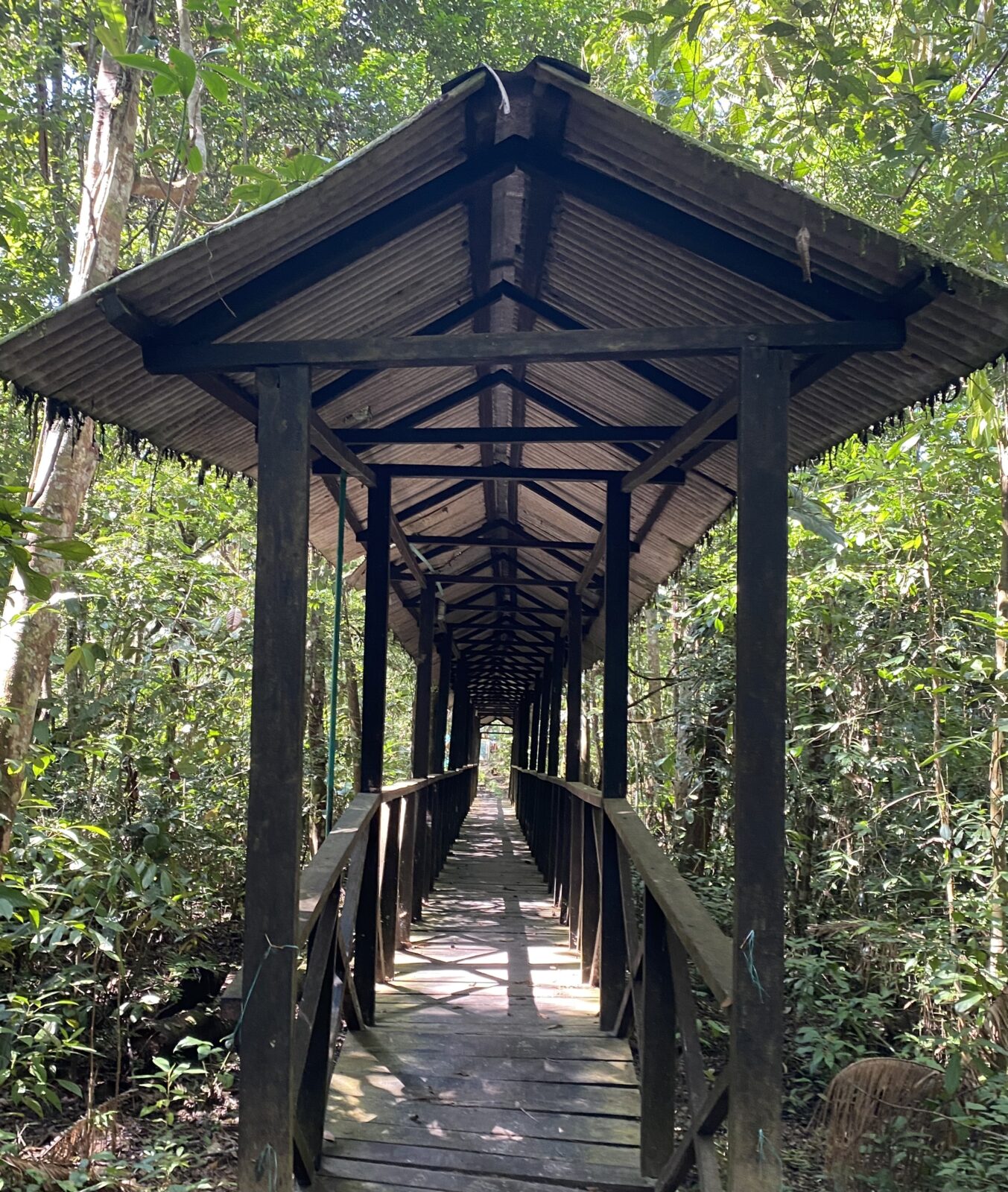 Bridge on UNAL Leticia campus within the Amazon jungle, Sept 2023