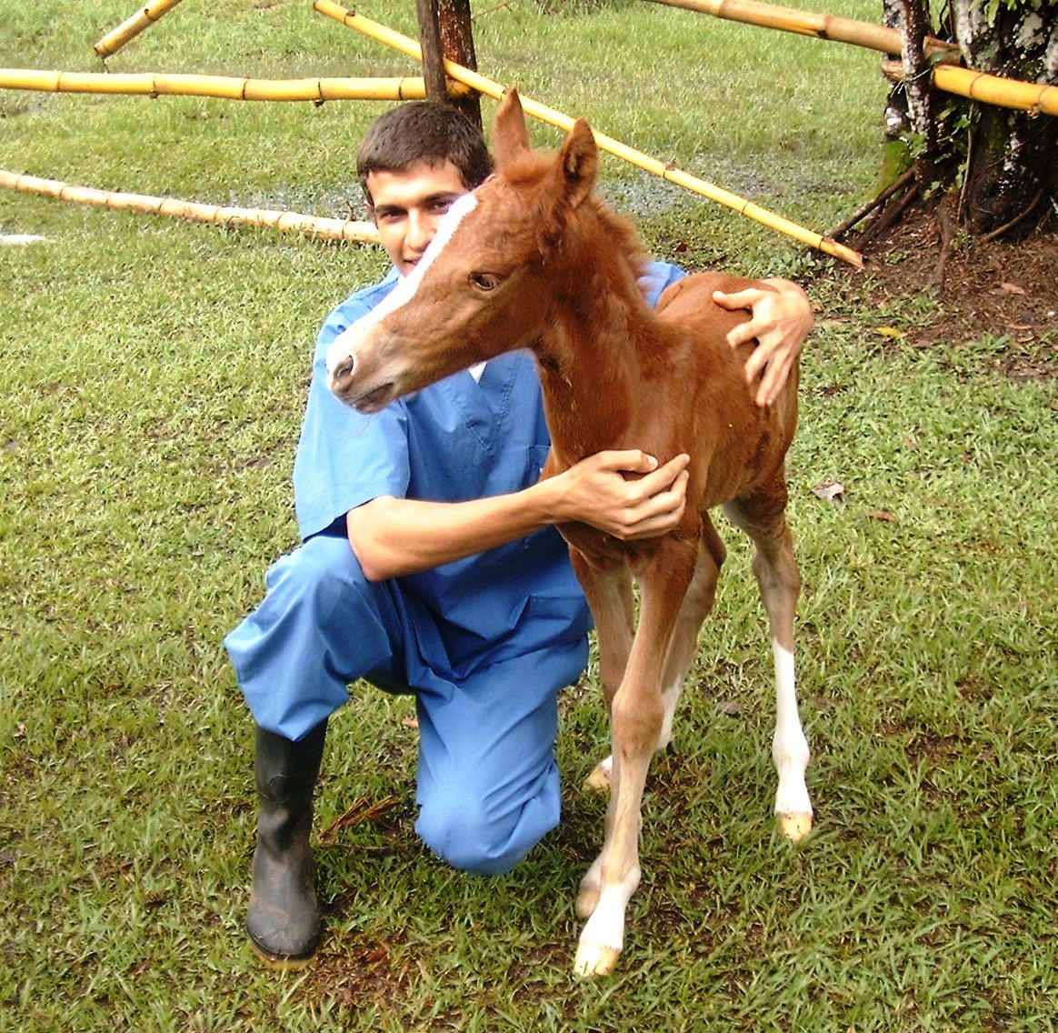 January 2024 From Treating to Preventing, a man with dark hair wearing blue wth boots holding a colt outside