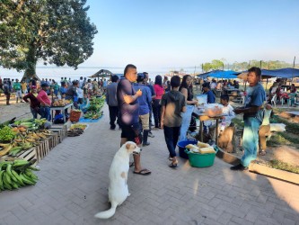 June 2024, people and a dog in an outside marketplace with tents, trees, and blue sky