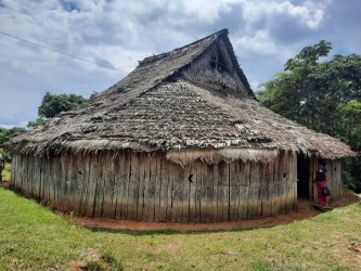 June 2024, malorca in Leticia Colombia, thatch hut with green grass and blue sky