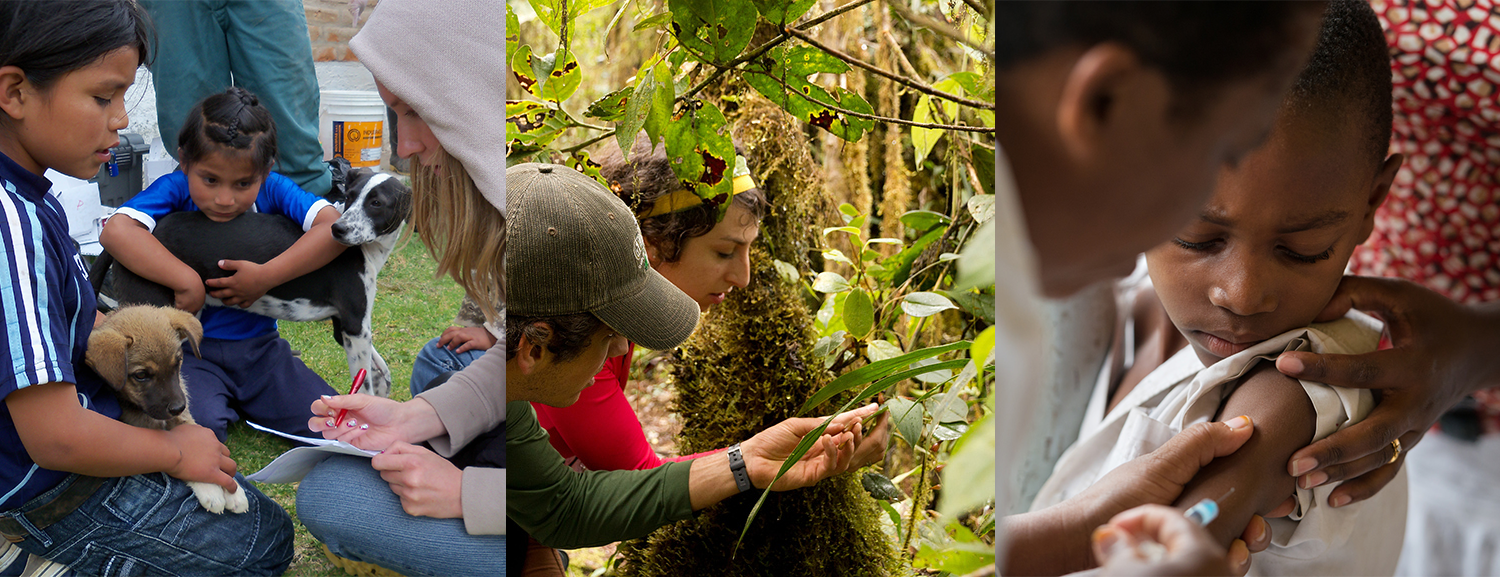 October 2022 three photos: one of child with dog, one of students examining plants, one of child getting a vaccination