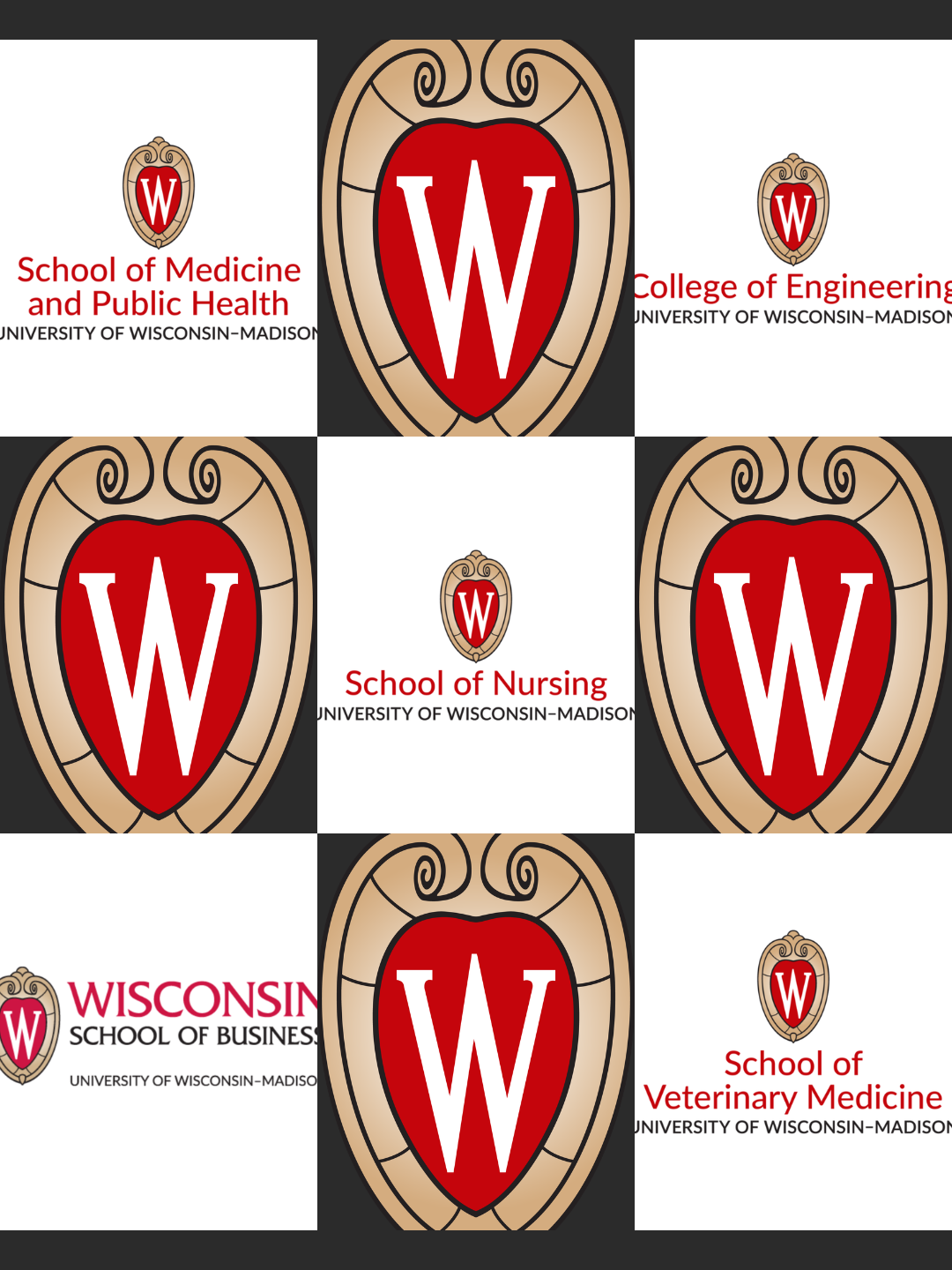 Red, white and black UW–Madison logo with red and black lettering of five different schools on UW's campus: SMPH, Engineering, Nursing, Business, Vet Med