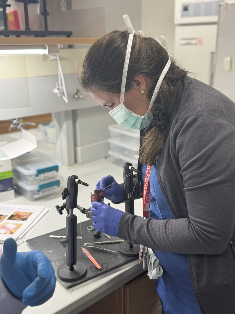 woman in a lab setting wearing scrubs, a mask, and using the laryngeal dissection tool