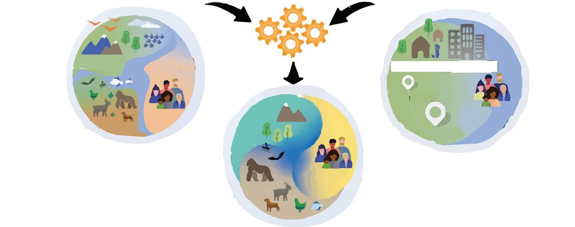 OHHLEP, ONE HEALTH GRAPHIC GRAPHIC BY THE WORLD HEALTH ORGANIZATION'S ONE HEALTH HIGH-LEVEL EXPERT PANEL (OHHLEP) - three circles with colorful graphic in each one and four yellow gears at the top with three black arrows