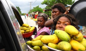 In Haiti, mango trees can benefit health, economy and communities