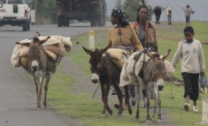 Bringing the whole university to Ethiopia