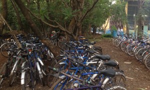 Actions on Climate Change Bring Better Health, Study Says