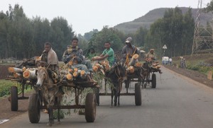 EPA Administrator’s WHO address completes 18-year circle