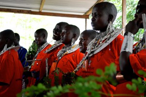 Miracle of the Moringa