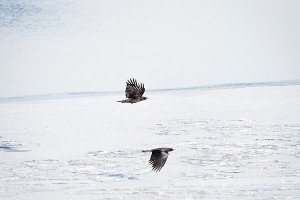 Climate change driving brutal weather?