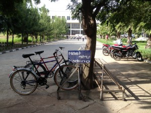 Sustainable cities work for climate change