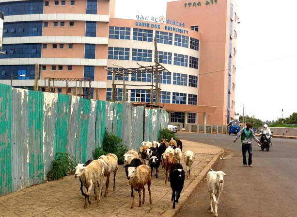 Ethiopia is a land of contrasts: It's one of the world's five fastest growing economies yet the vast majority of people live without electricity.