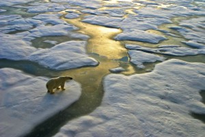 The world will be 6 degrees warmer by 2100: 6 scary effects that’ll have on our health