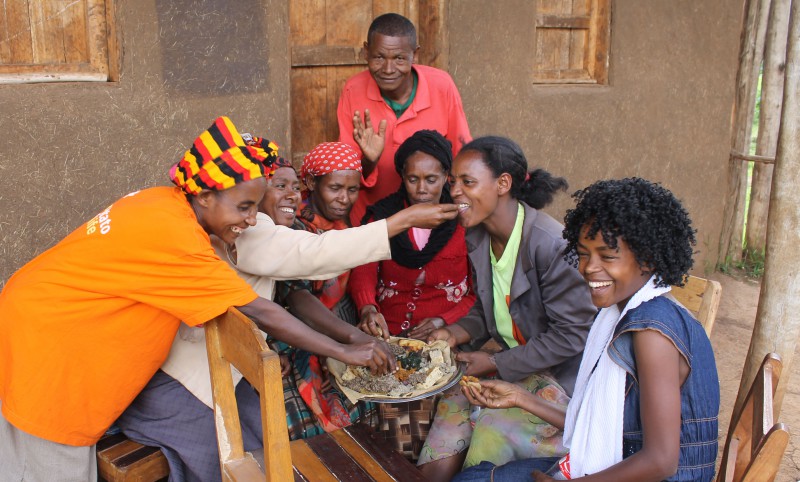 Impacts of agricultural development on human health and nutrition in Ethiopia