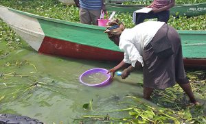 Fish, floods and diabetes under scrutiny with four new GHI Seed Grants