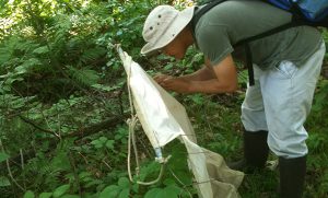 CDC awards $10 million for insect borne disease center