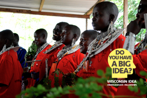 2017-18 Wisconsin Idea Fellowships awarded to seven projects