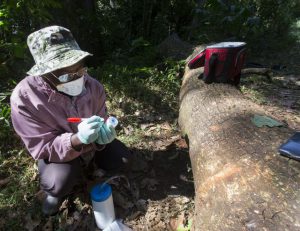 Milwaukee Journal Sentinel: The hunt for a future killer