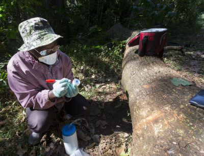 Milwaukee Journal Sentinel: The hunt for a future killer