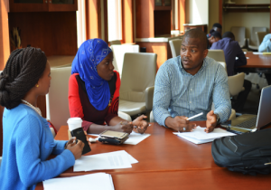 Introducing YALI Expert Exchange