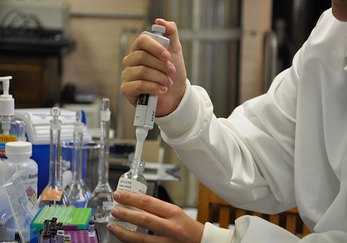 Finding a weak link in the frightful parasite Schistosoma