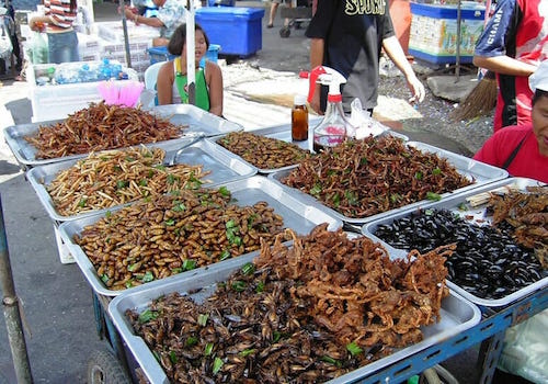 Eating crickets can be good for your gut, according to new clinical trial