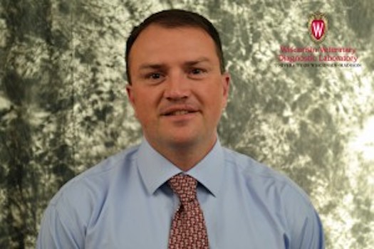 Wisconsin Veterinary Diagnostic Lab has new director, new direction