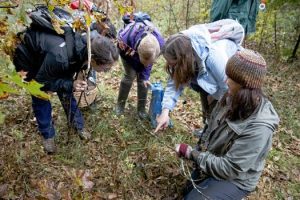 ‘Foray’ draws scientists to Wisconsin in search of mushrooms, fellowship