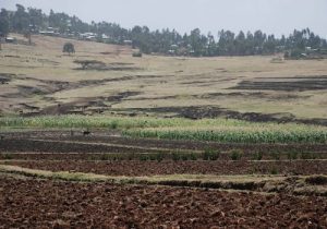 Two GHI Associate Directors study Gender Analysis for One Health with the USDA, published in EcoHealth