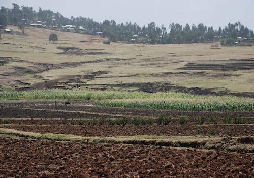 As climate heats up, rising rainfall averages hide crop-killing droughts
