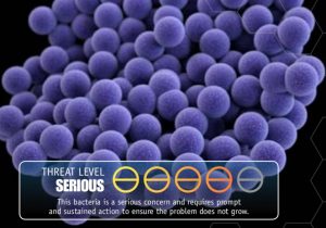 From Bugs to Drugs: Symposium Speaker Will Raise Alarm, Offer Solutions for Antibiotic Resistance