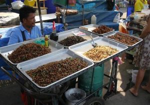 WPR: Chef Joseph Yoon advocates for eating insects