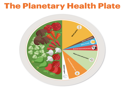 Journal Sentinel: To ensure that 10 billion future people can eat, look at your carbon ‘​​​​​​​foodprint’ today