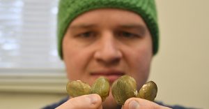 In Virginia and Wisconsin, a new look at saving freshwater mussels: Could disease be a culprit in massive die-offs?