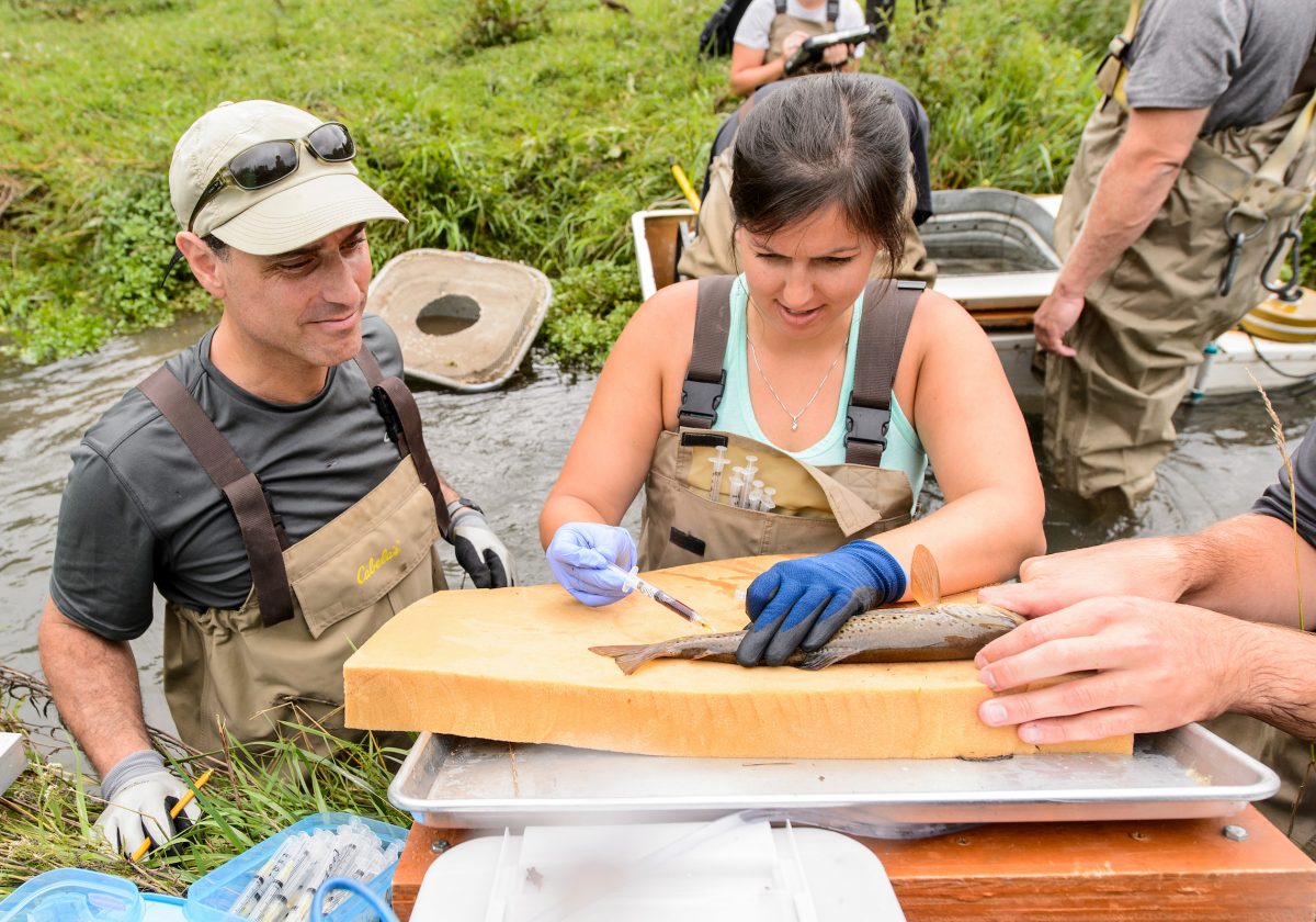 UW-Madison GHI named Center of Excellence in Global Virus Network