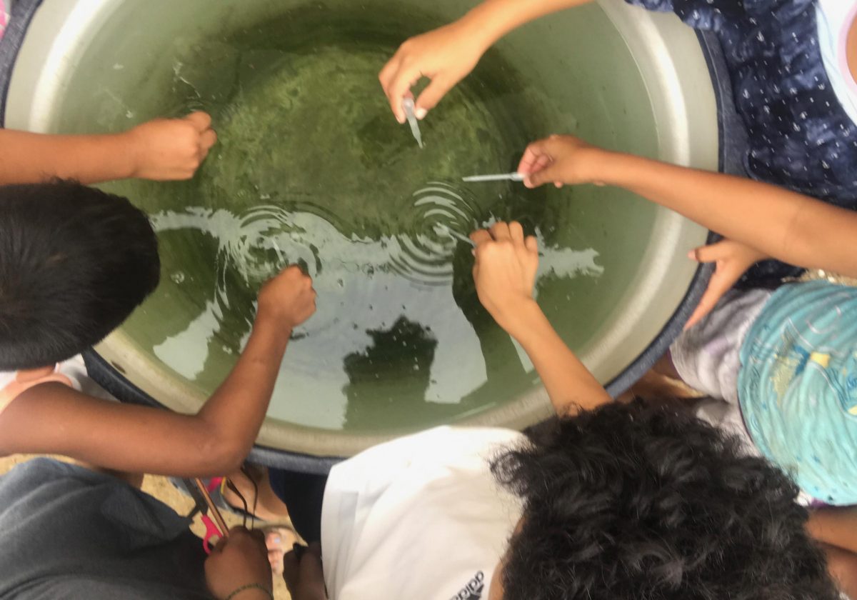From Mosquitoes to Antibiotic Resistance, Global Health 2019 Grants Advance Projects Across the World