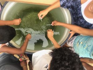 Bartholomay brings Mosquitos Y Yo to Global Health Tuesday
