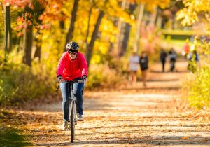 UW-Madison named platinum-level Bicycle Friendly University