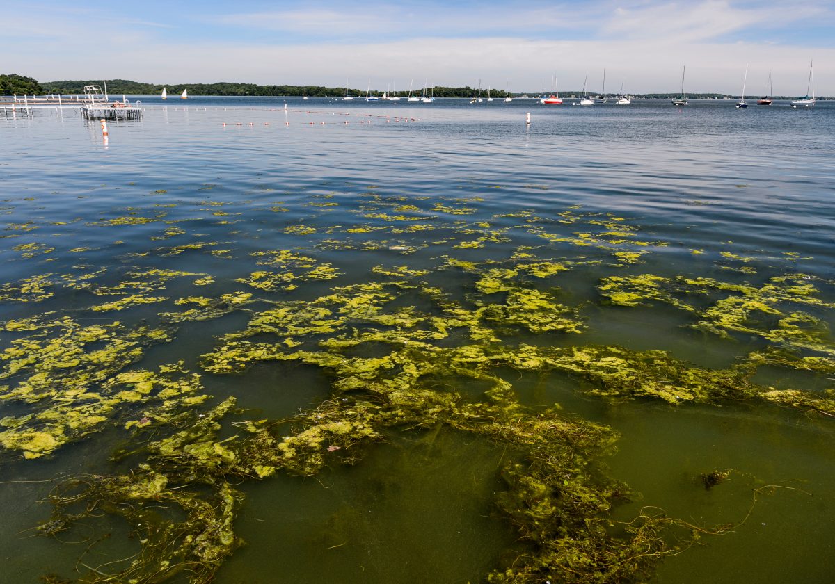Wisconsin Initiative on Climate Change Impacts revived under Governor’s task force