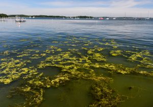 Wisconsin Initiative on Climate Change Impacts revived under Governor’s task force