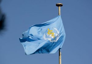 How the World Health Organization Responds to Disease Outbreaks