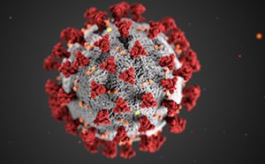Researchers at UW–Madison lead data science coalition to aid with COVID-19