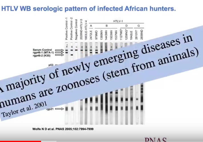 Preventing the next pandemic: Urgency for a Planetary Health approach