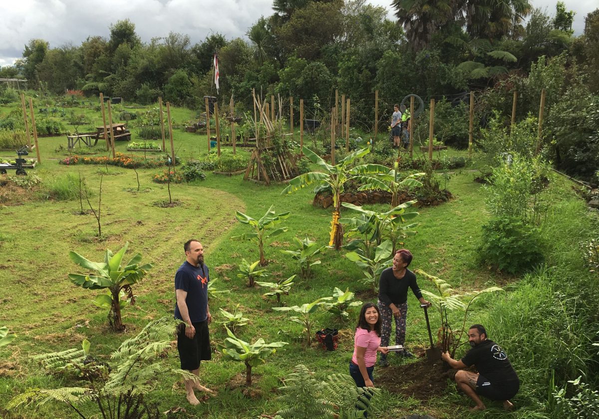 From tick-born disease and indigenous food to diabetes and cervical cancer, Global Health Institute grants fund projects across campus